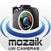 Camera Mozaik