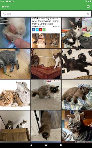 Imgur Browser screenshot 12