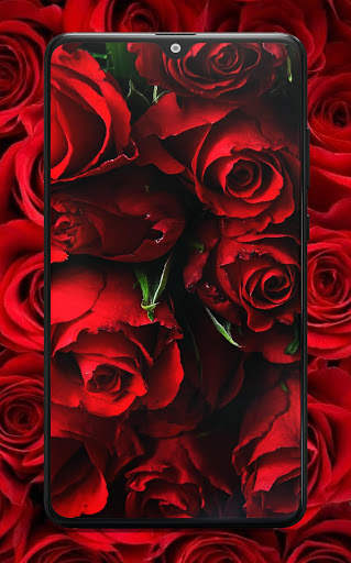 Flower Wallpaper 4K & HD screenshot 3