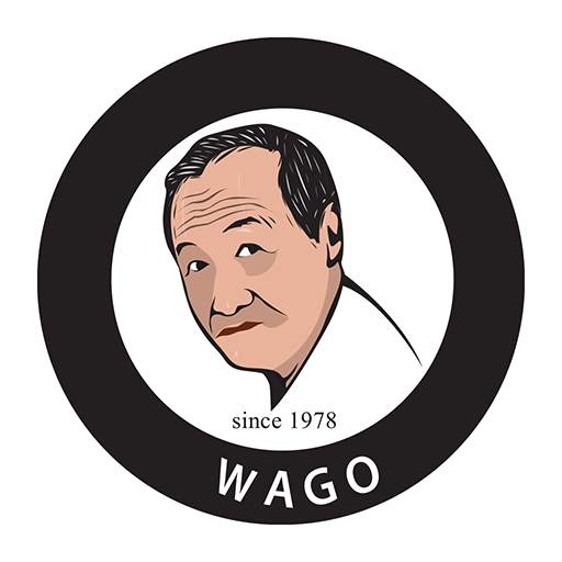 WAGO TRANSFER 0.19.1-SPECTRUM