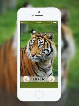 Animal & Birds Sound for kids screenshot 7