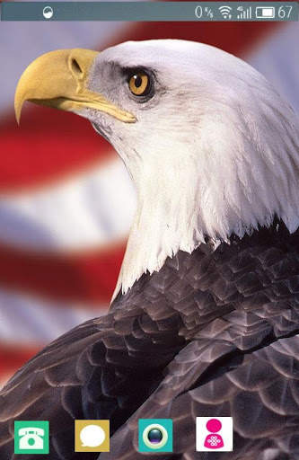 Bald Eagle Wallpaper screenshot 1