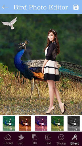 Bird Photo Editor : Cut Paste Editor screenshot 7