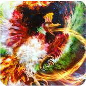 Legendary Pokemon Wallpapers 1.0