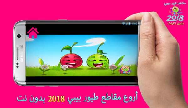 أروع مقاطع طيور الجنة بيبي 2018 7 تصوير الشاشة