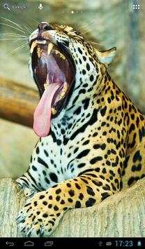 Jaguars Wallpapers screenshot 4