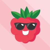 raspberry VPN logo