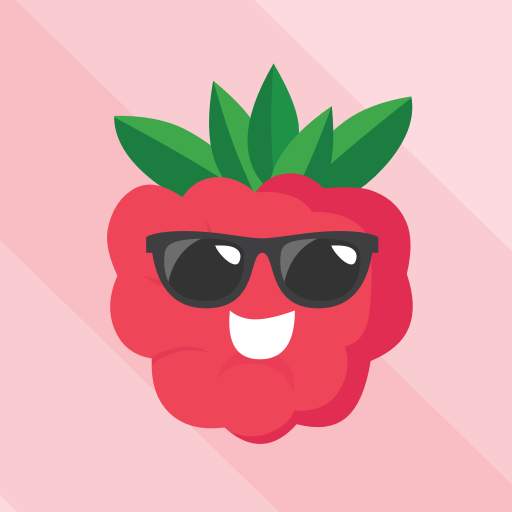 raspberry VPN 1.0.5