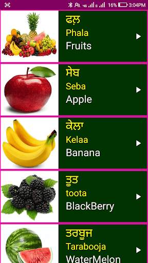 Learn Punjabi From English screenshot 3