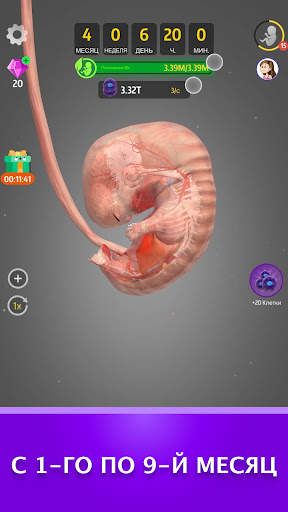 Idle 9 Months скриншот 3