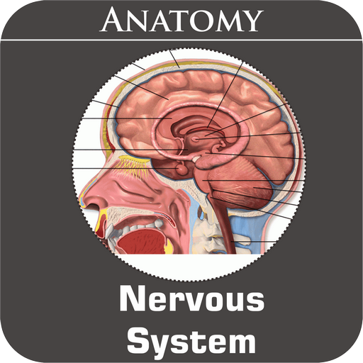Nervous System icon