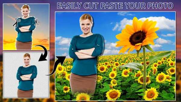 Sunflower Photo frames 2 تصوير الشاشة