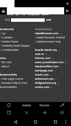 Naked Browser web browser LTS screenshot 1