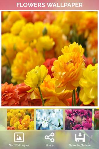Flowers Wallpaper screenshot 1