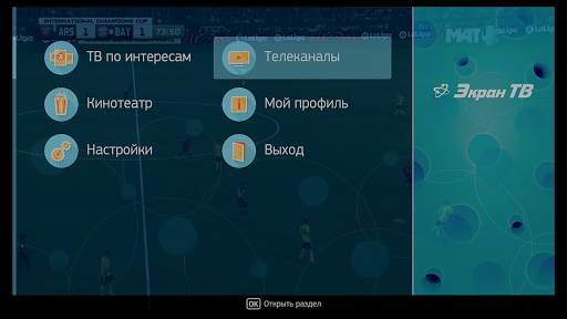 Экран ТВ screenshot 1