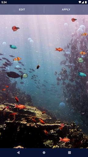 Ocean Fish Live Wallpaper 4K screenshot 4