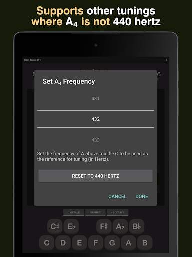 Bass Tuner BT1 screenshot 12
