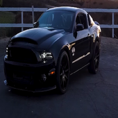 REAL MUSTANG RAİNY RACE SİMULATOR 2018 icon