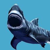 Shark Attack Game icon