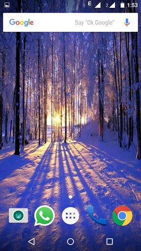 Winter Wallpaper HD screenshot 1