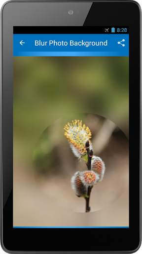 Blur Photo Background screenshot 9