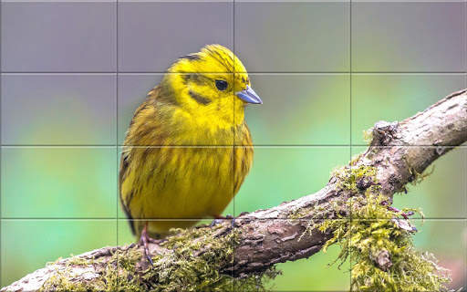 Sparrows Puzzle स्क्रीनशॉट 10
