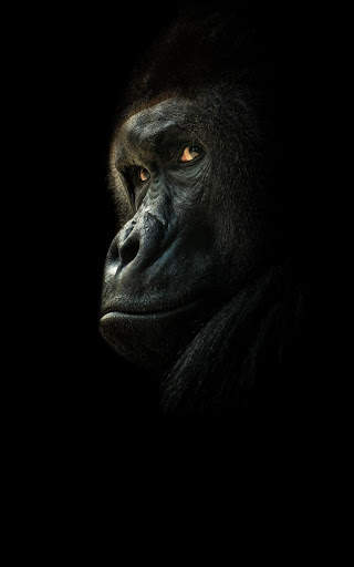 Black Wallpapers | hd backgrounds screenshot 7