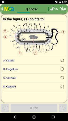 MCQ Basic Microbiology screenshot 2