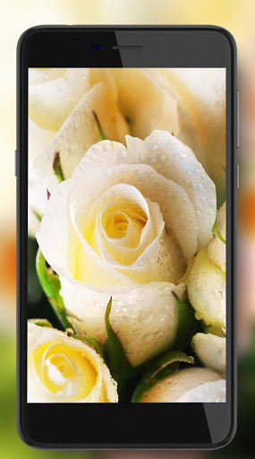 Roses Gallery Live Wallpaper screenshot 6