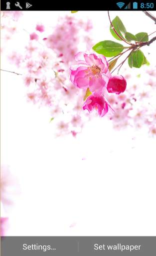Sakura Live Wallpaper screenshot 3