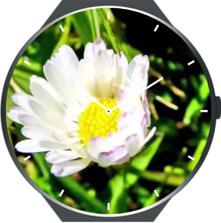 Flowers Animated Watch Faces screenshot 8