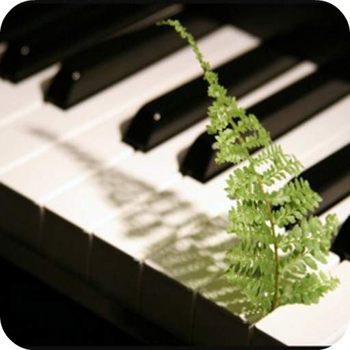 Relaxing Piano Music 1.1