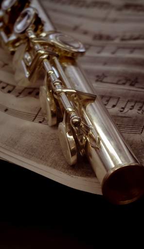 Flute music for relaxing and sleeping screenshot 2