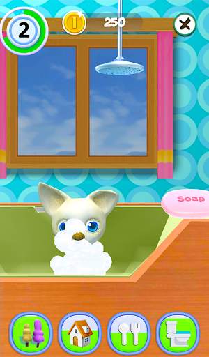 Talking Dog Chihuahua screenshot 9