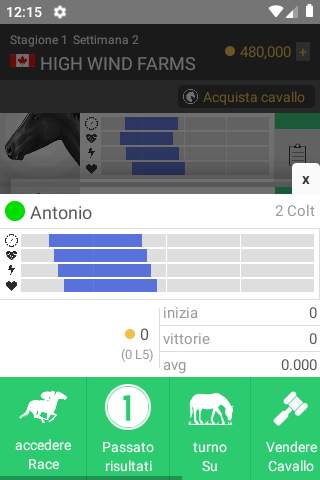 Cavallo Da corsa screenshot 4