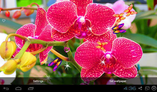 Orchid Live Wallpaper - Screen Lock, Sensor, Auto screenshot 9