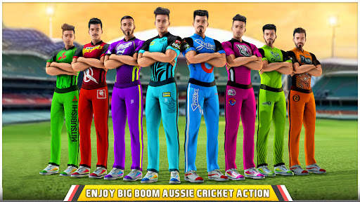 Aussie Cricket Championship screenshot 3