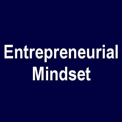 Entrepreneur Mindset 11.0
