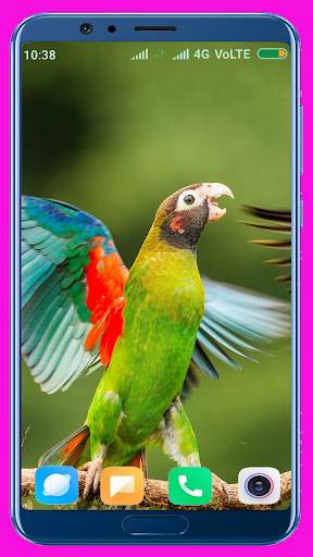 Bird Wallpaper Best 4K स्क्रीनशॉट 2