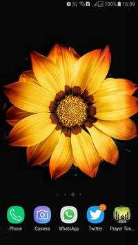 HD Background Flower Wallpaper screenshot 13