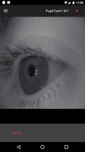 Pupil Mobile screenshot 3