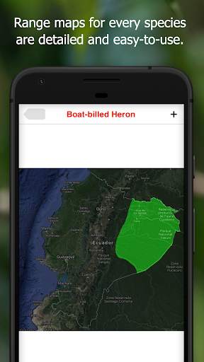 Birds of Ecuador screenshot 6