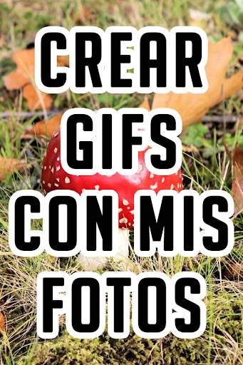 Crear Gifs Con Mis Fotos Tutorial screenshot 4