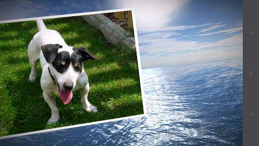 PhotoFlight Slideshow FREE screenshot 11