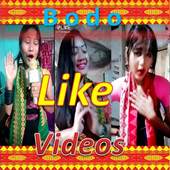 Bodo Like Videos 1.0.1