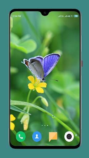 Butterfly Wallpaper 4K screenshot 15