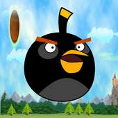Birds Run Angry Rush: Birds Running Games 2018 1.1