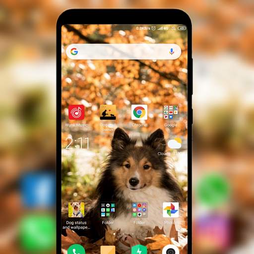 Dog status and wallpaper HD 1.0