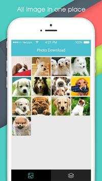 Photo Download screenshot 1