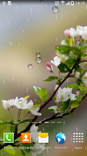 Rain Live Wallpaper screenshot 5